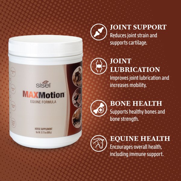MAXMotion™ Equine Formula
