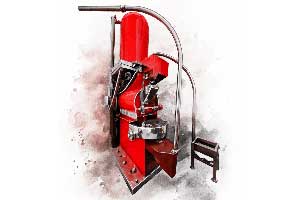 iselGUT Essentials™ Daily Pre & Probiotic