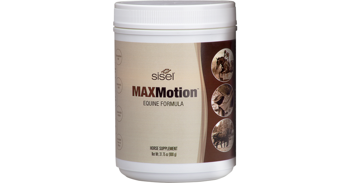Sisel Rise MAXMotion™ Equine Formula: Joint Support for Horses | Sisel International